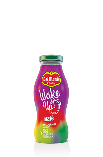Del Monte Wake UP Range : Mate Juice Drink